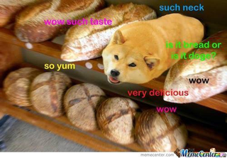 Illustration for article titled PSA: bread.